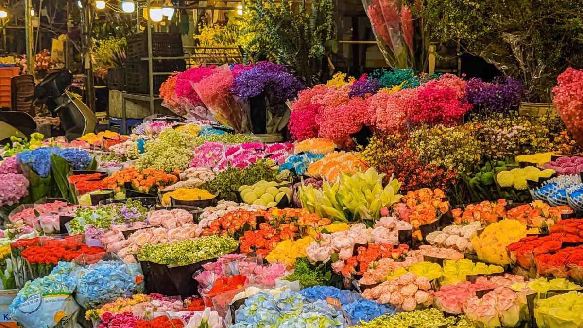 Bản đồ và chỉ dẫn đường đi đến Chợ Hoa Quảng Bá tại 236 Âu Cơ, Tây Hồ, Hà Nội.